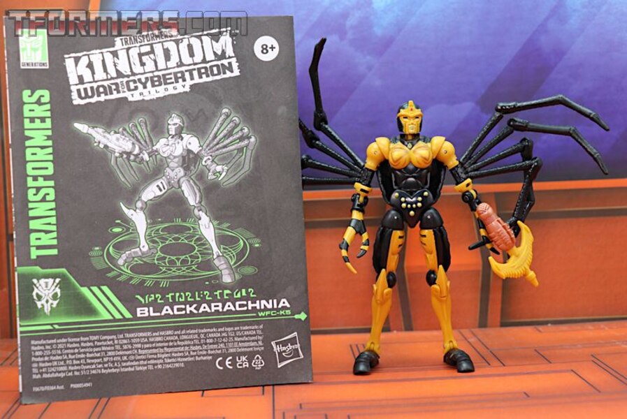 Transformers Kingdom Blackarachnia  (34 of 46)